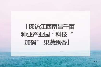 探访江西南昌千亩种业产业园：科技“加码” 果蔬飘香